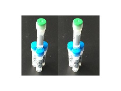 醋酸强啡肽A（1-13） | 72957-38-1|南京肽业