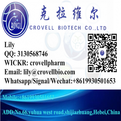 Methylamine Hcl 593-51-1