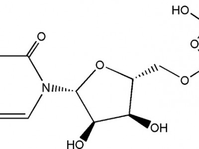 二磷酸胞苷二钠 CAS NO.54394-90-0图3