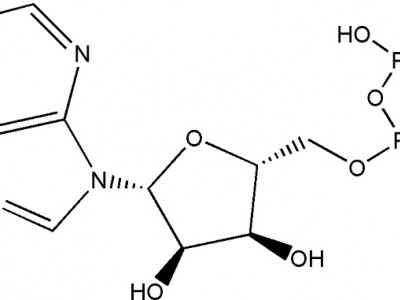 二磷酸肌苷二钠 CAS NO.54735-61-4