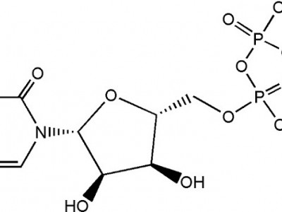 二磷酸尿苷二钠 CAS NO.27821-45-0