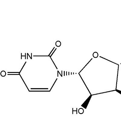 二磷酸尿苷二钠 CAS NO.27821-45-0