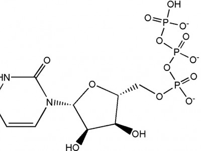 三磷酸尿苷三钠CAS NO.19817-92-6