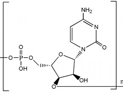 聚胞苷酸（Poly C）CAS NO.30811-80-4图2