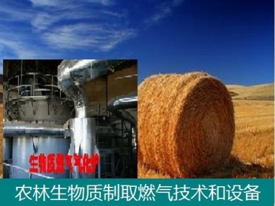 东昊生物质气化炉_生物质固定床热解气化炉_流化床热解气化炉