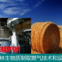 东昊生物质气化炉_生物质固定床热解气化炉_流化床热解气化炉