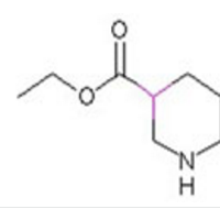 3-哌啶甲酸乙酯  5006-62-2
