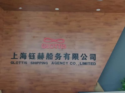 提供中东印巴东南亚国际货物运输服务图1