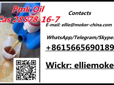 Pmk  Oil Cas 28578-16-7图2