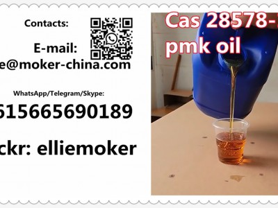 CAS 28578-16-7 Pmk Oil图1