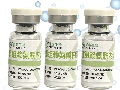 重组赖氨酰内切酶 质量稳定 高纯度PTA002图2