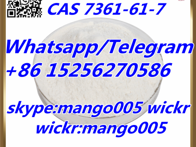 CAS 7361-61-7图4