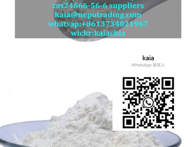 24666-56-6 suppliers