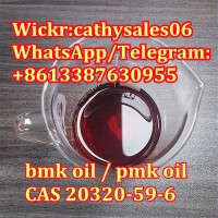 Cas 20320-59-6 new bmk oil