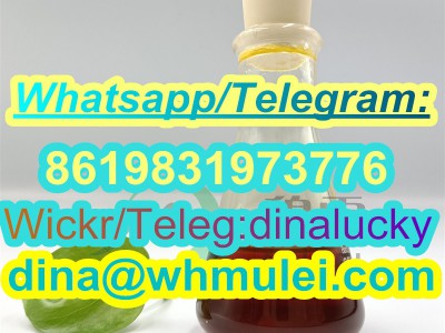 CAS 28578-16-7 pmk oil powder