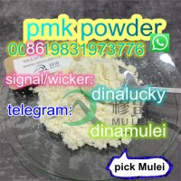CAS 28578-16-7 New BMK Powder