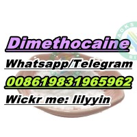 Dimethocaine hcl cas 553-63-9