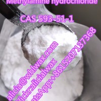 Methylamine hcl CAS 593-51-1