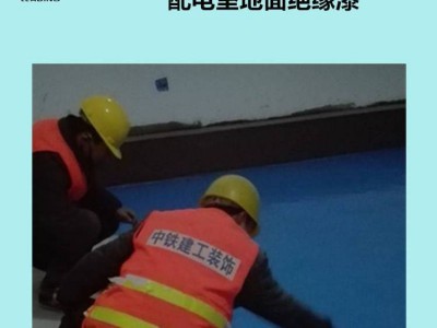 利鼎供应配电室地面绝缘漆LD-403环氧地坪漆图5