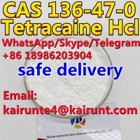 CAS 136-47-0 Tetracaine hcl