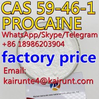 CAS 59-46-1 PROCAINE hcl