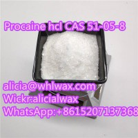 Procaine hcl CAS 51-05-8