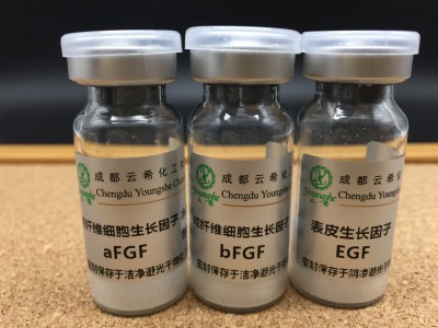 重组人源血管内皮生长因子（rh-VEGF165）