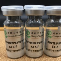 重组人源血管内皮生长因子（rh-VEGF165）