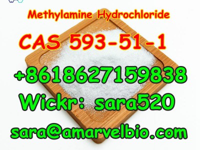 Methylamine HCL CAS 593-51-1