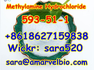 Methylamine HCL CAS 593-51-1图3