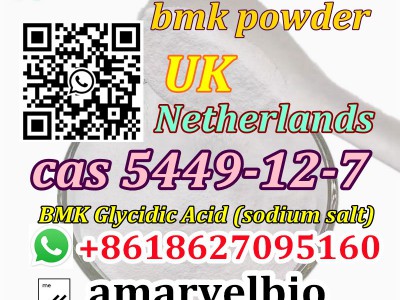 BMK Powder CAS 5449-12-7图5