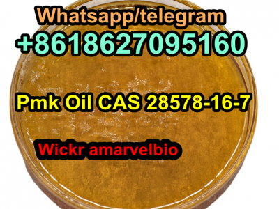 PMK Oil cas 28578-16-7图3