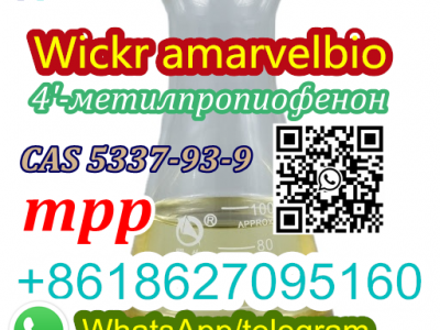 Hot Sell 4 MPP CAS 5337-93-9图5