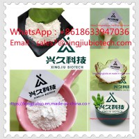 Procaine hydrochloride