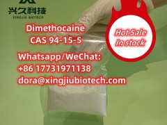 Dimethocaine CAS94-15-5