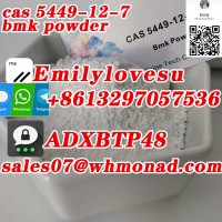 new bmk powder cas 5449-12-7