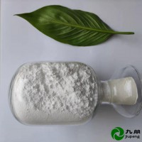 防老化涂料用 间接法 50纳米氧化锌CYNX32-03