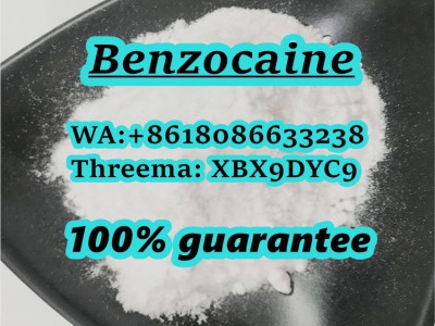 benzocaine powder supplier