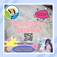 Tianeptine 66981-73-5