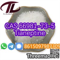 CAS 66981-73-5