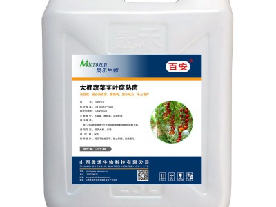 大棚蔬菜茎叶腐熟菌图2