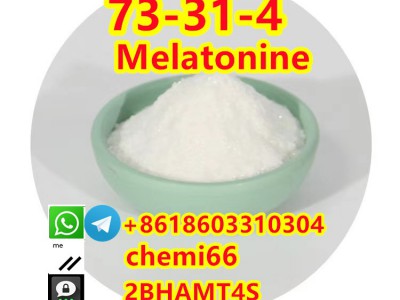 Melatonine 73-31-4图2