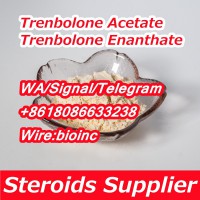 Trenbolone Acetate Powder