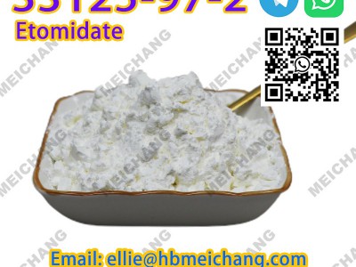 CAS 33125-97-2 etomidate图2
