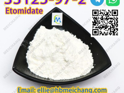 CAS 33125-97-2 etomidate