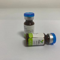 异槲皮苷 482-35-9 对照品供应
