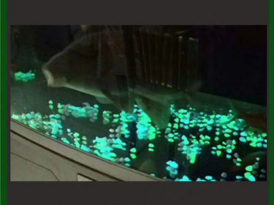 慧海供应发光石 观景夜用蓝绿光石子 铺路夜光石图4