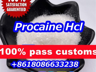 Procaine hcl powder