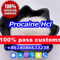 Procaine hcl powder