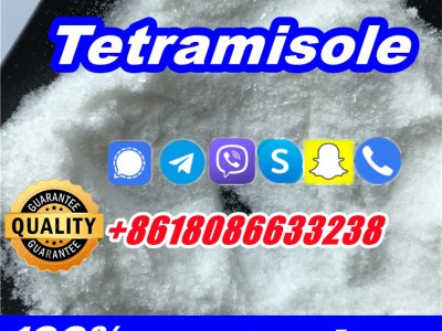 buy tetramisole hcl powder图4